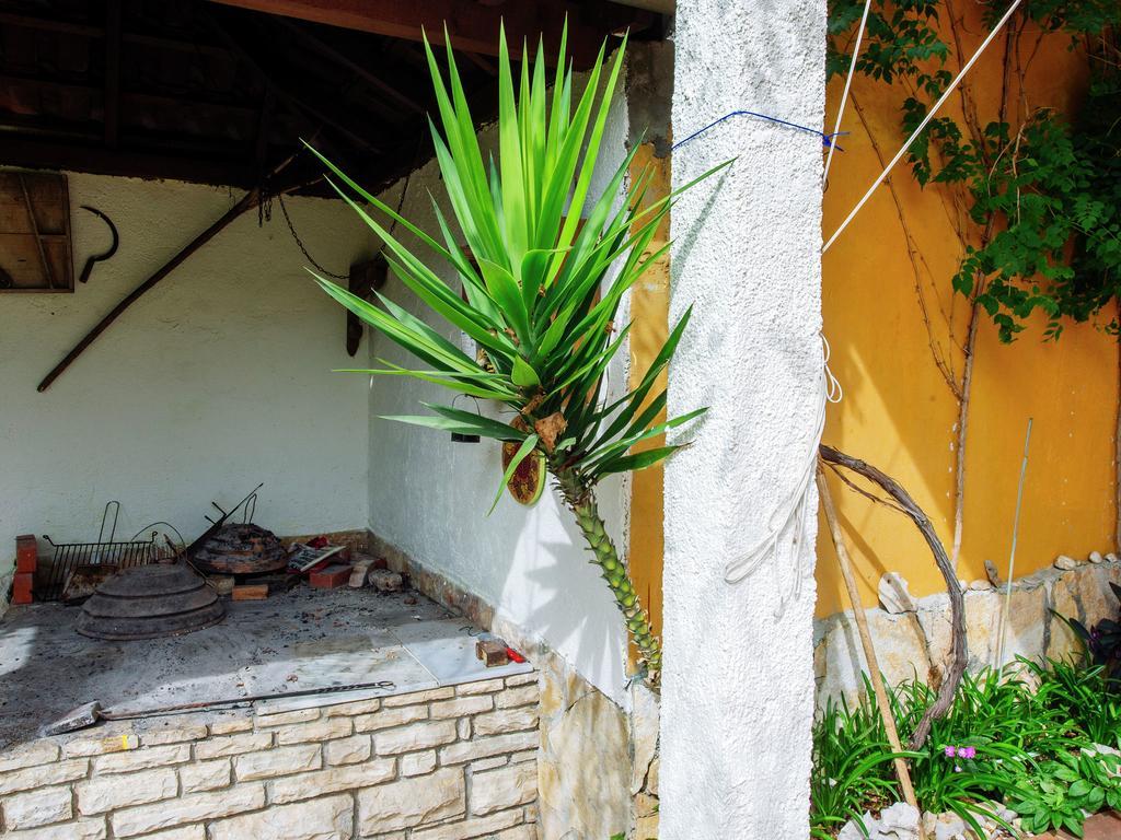 Apartment Maslina Bibinje Ngoại thất bức ảnh
